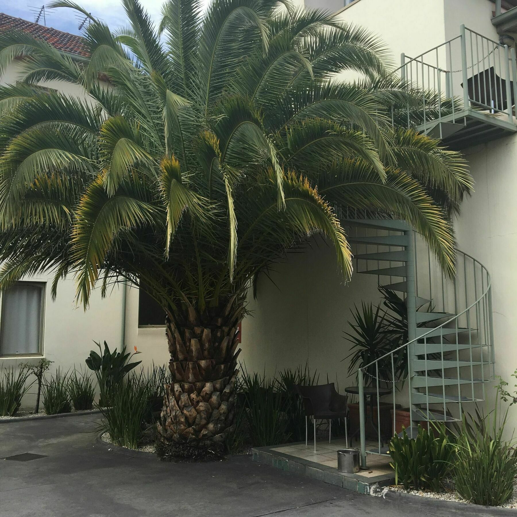 מלבורן Brunswick Tower Hotel מראה חיצוני תמונה